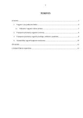 Transporto priemonių vagysčių tyrimo metodika 2 puslapis