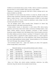 Trimatės grafikos plokštės: "ATI Radeon 9800 XT" ir "nVIDIA GeForce FX 5950 Ultra" 4 puslapis