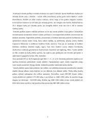 Trimatės grafikos plokštės: "ATI Radeon 9800 XT" ir "nVIDIA GeForce FX 5950 Ultra" 5 puslapis