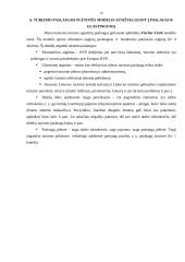 Turizmo paslaugos Lietuvoje 14 puslapis