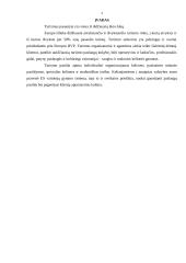 Turizmo paslaugos Lietuvoje 2 puslapis