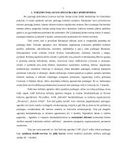 Turizmo paslaugos Lietuvoje 3 puslapis