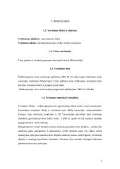 Turto vertinimas 2 puslapis