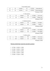 Turto vertinimas 12 puslapis