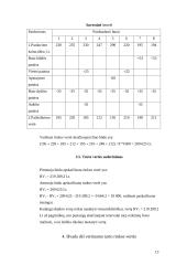 Turto vertinimas 13 puslapis