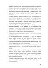 Turto vertinimas 4 puslapis