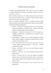 Turto vertinimas 6 puslapis