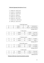 Turto vertinimas 10 puslapis