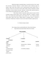 Ugdymo metodai 3 puslapis