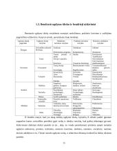 Ugdymo uždaviniai 15 puslapis