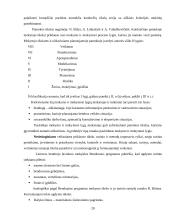 Ugdymo uždaviniai 20 puslapis