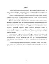 Ugdymo uždaviniai 3 puslapis