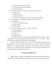 Ugdymo uždaviniai 9 puslapis