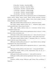 V. Zaborskaitės "Tarp istorijos ir dabarties" (p.244 – 258) terminai 20 puslapis