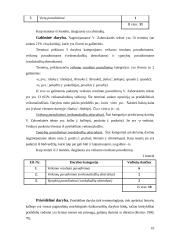 V. Zaborskaitės "Tarp istorijos ir dabarties" (p.244 – 258) terminai 10 puslapis