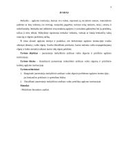 Vaiko elgsena ir priežiūros kultūra ugdymo institucijoje 3 puslapis