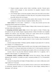 Vaikų auklėjimas šeimoje 12 puslapis