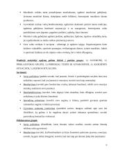 Vaikų iki aštuonerių metų auklėjimo problemos 6 puslapis