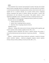 Vaikų ir suaugusiųjų mokymosi ypatumai bei skirtumai 3 puslapis