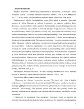 Vaikų ir suaugusiųjų mokymosi ypatumai bei skirtumai 4 puslapis