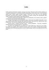 Vaikų maitinimo organizavimas vaikų šventės metu 3 puslapis