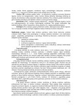 Vaikų sveikata, higiena šeimoje ir mokykloje 11 puslapis