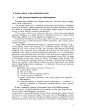 Vaikų sveikata, higiena šeimoje ir mokykloje 5 puslapis