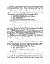 Vaikų sveikata, higiena šeimoje ir mokykloje 10 puslapis