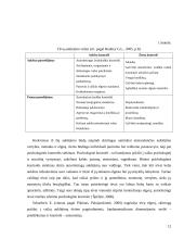 Vaikų tarpusavio santykiai ir tėvų auklėjimo stiliai 11 puslapis