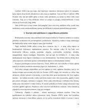 Vaikų tarpusavio santykiai ir tėvų auklėjimo stiliai 15 puslapis