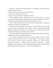 Vaikų tarpusavio santykiai ir tėvų auklėjimo stiliai 3 puslapis