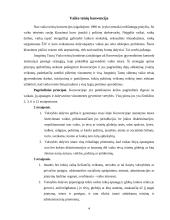 Vaikų teisių apsaugos institucijos 3 puslapis