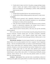 Vaikų teisių apsaugos institucijos 4 puslapis