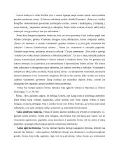 Vaikų ugdymo šeimoje problemos 2 puslapis