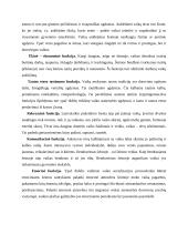 Vaikų ugdymo šeimoje problemos 3 puslapis