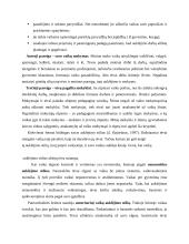 Vaikų ugdymo šeimoje problemos 6 puslapis