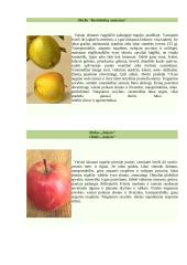 Vaismedžiai 11 puslapis