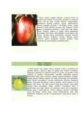 Vaismedžiai 13 puslapis