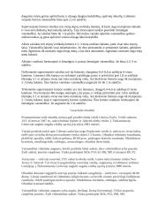 Vaismedžiai 4 puslapis