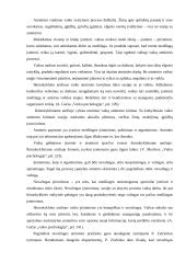 Vaizdinės atminties tyrimas 2 puslapis