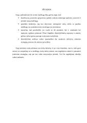 Vaizdinės atminties tyrimas 9 puslapis