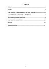 Vadybininkas, valdymo procesas 2 puslapis