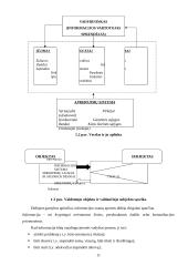 Vadybininkas, valdymo procesas 11 puslapis