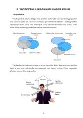 Vadybininkas, valdymo procesas 4 puslapis