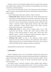 Vadybininkas, valdymo procesas 5 puslapis