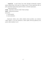 Vadybininkas, valdymo procesas 8 puslapis