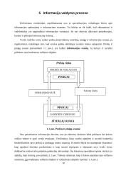Vadybininkas, valdymo procesas 10 puslapis