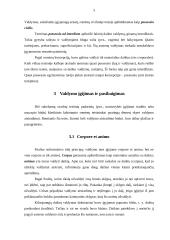 Valdymas romėnų teisėje 5 puslapis