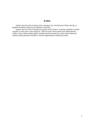 Valstybė ir teisė antikos šalyse 3 puslapis