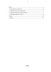 Valstybės ekonominė veikla rinkos mechanizme 2 puslapis